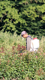 Unser Fachpersonal – Rosen- und Gartenbaumschule Weishaupt