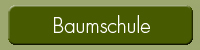 Baumschule – Markus Hiller