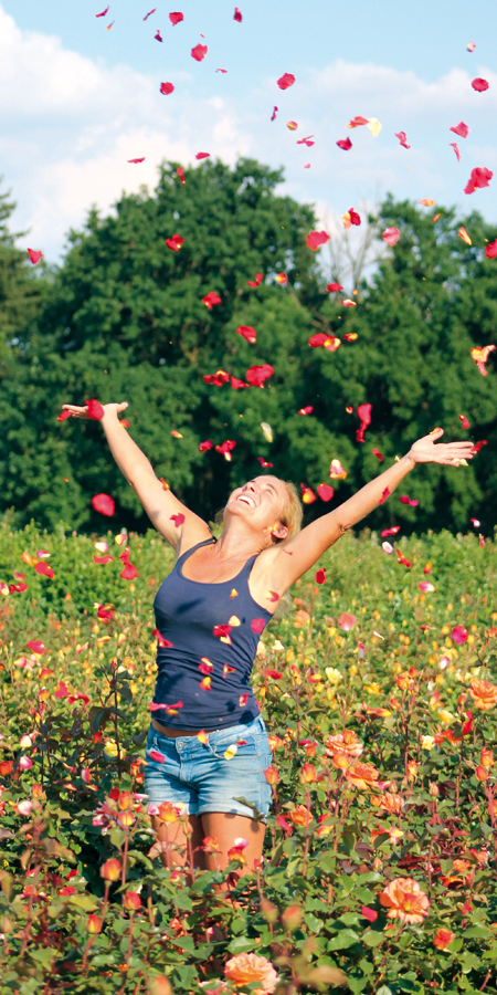 Rosen Weishaupt in 85368 Moosburg – Freilandschnittrosen, Baumschule, Floristik Oberbayern