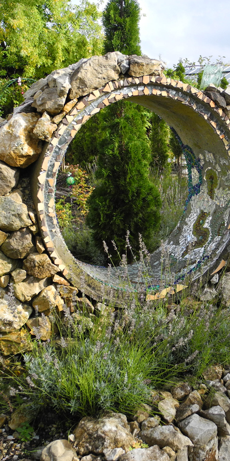 Rosen Weishaupt – wo’s wächst!