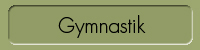 Gamnastik